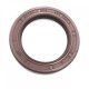 Pressure Oil Seal 28x40x7/7,5 N1T01 FPM [BABSL]